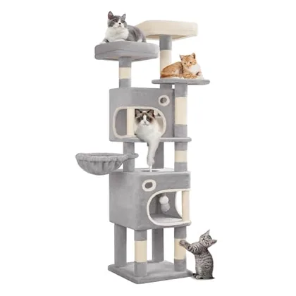 62.6 in Cat Tree for Indoor Cats